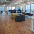 Exploring Open Source Office Suites